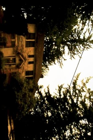 evan's house