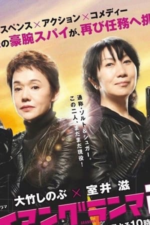 钢铁大妈第2季