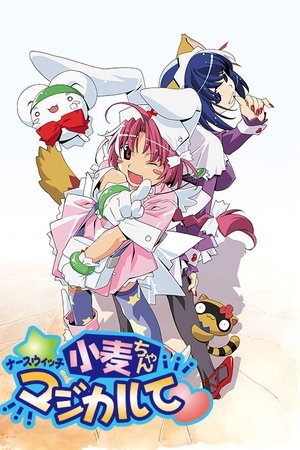 魔法护士小麦