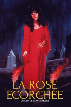 血玫瑰