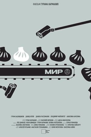 МИР