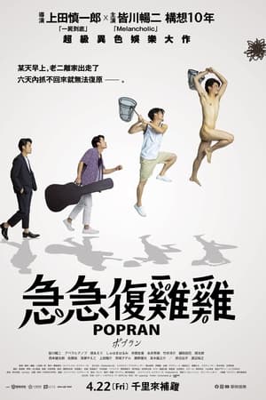 波普兰