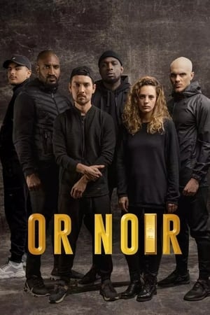 Or noir第2季