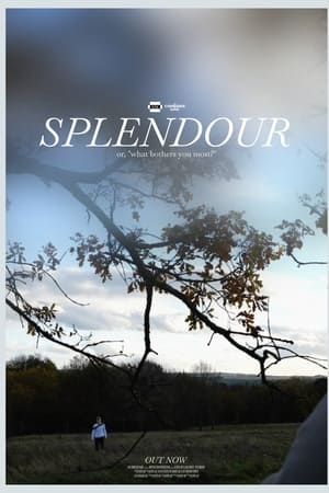 Splendour