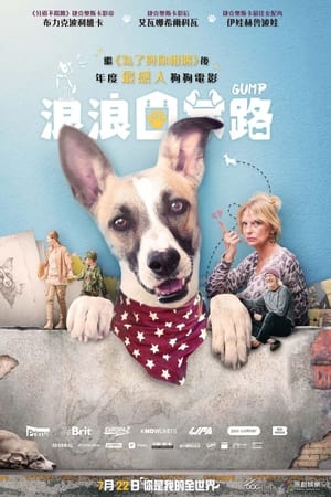 Gump – pes, který naučil lidi žít