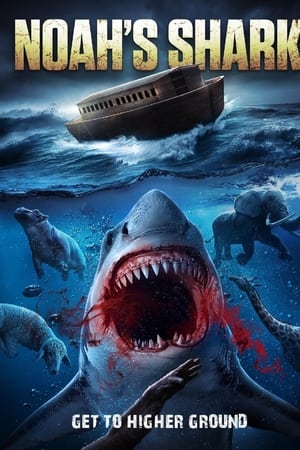 Noah’s Shark