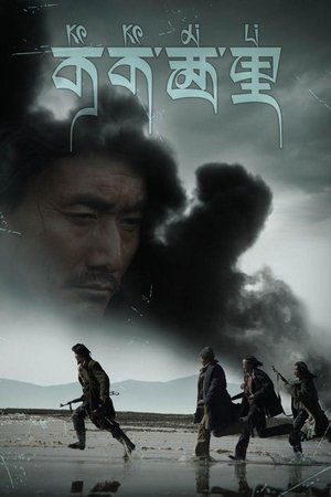 可可西里