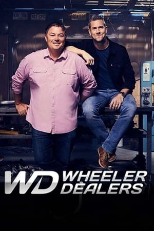 Wheeler Dealers第19季