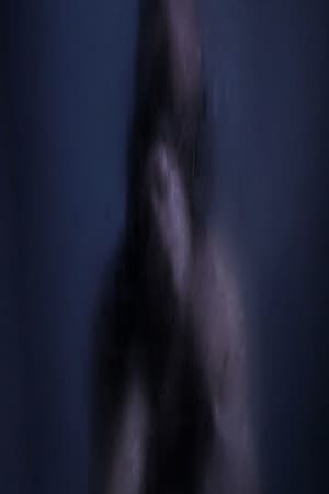 قبلة في الليل