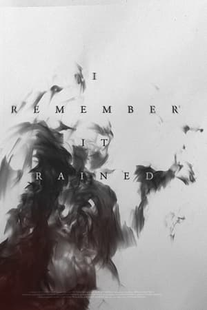 I Remember It Rained