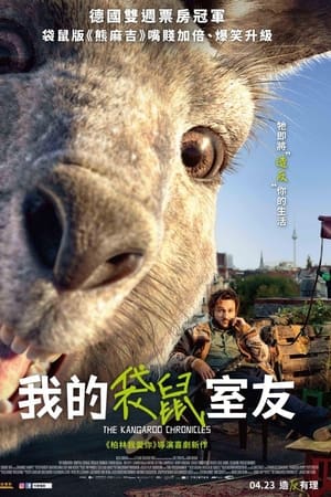 袋鼠编年史