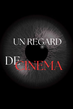 Un regard de cinéma