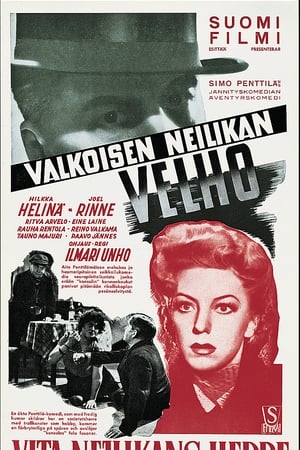 Valkoisen neilikan velho