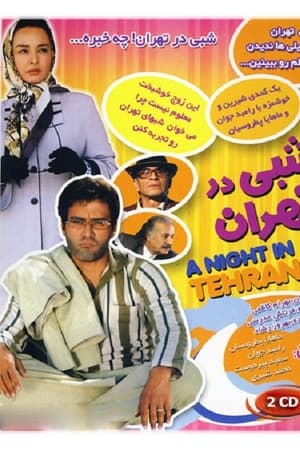 شبی در تهران