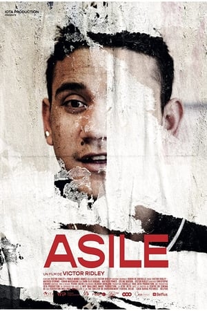 Asile