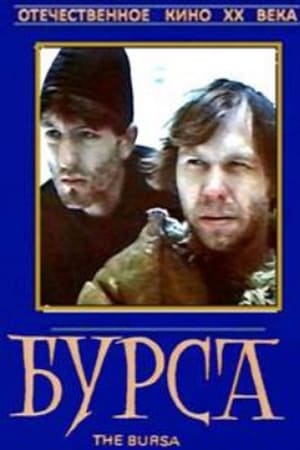 Бурса