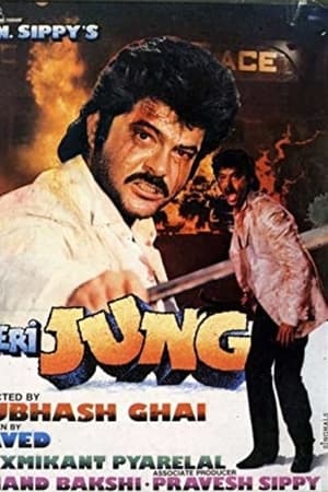 मेरी जंग