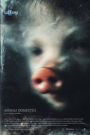 Animali Domestici