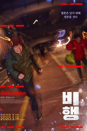 비행