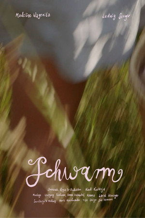 Schwarm