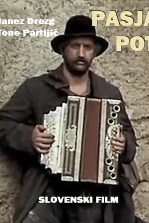 Pasja pot