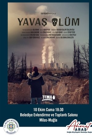 Yavaş Ölüm