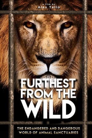Furthest from the Wild