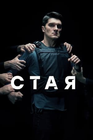 Стая