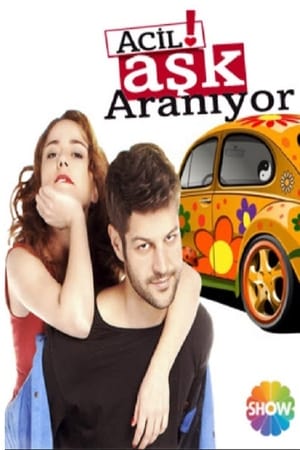 Acil Aşk Aranıyor