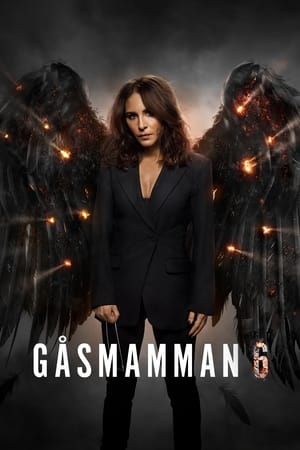 Gåsmamman第6季