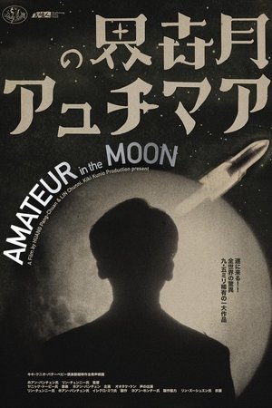 月亮上的業餘者