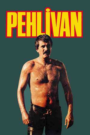 Pehlivan