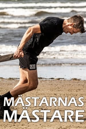 Mästarnas mästare第13季