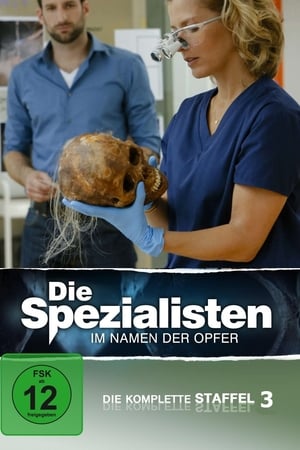 Die Spezialisten – Im Namen der Opfer第3季