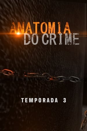 Anatomia do Crime第3季