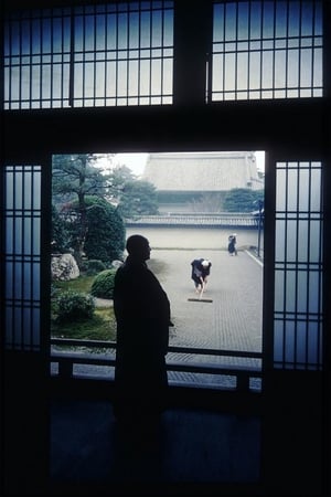 猛鬼校园
