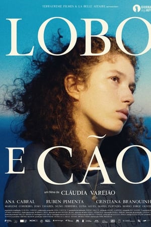 Lobo e Cão