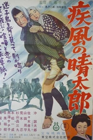疾風の晴太郎