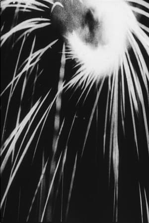 The Light Penetrates the Dark