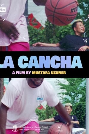 La cancha