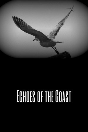 Echoes of the Coast