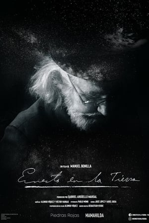 Ernesto en la Tierra