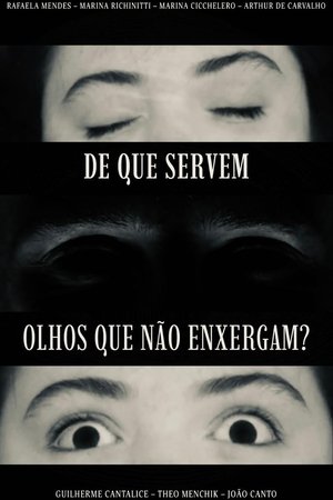De que Servem Olhos que Não Enxergam?