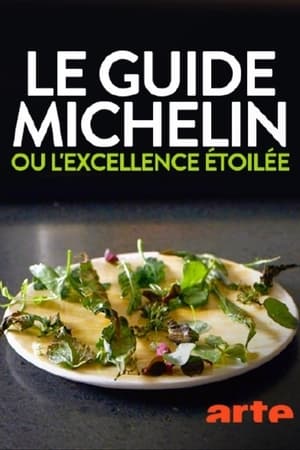 Le guide Michelin ou l'excellence étoilée
