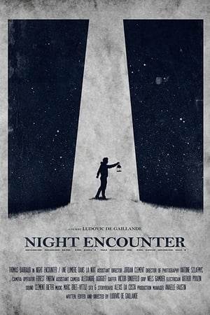 Night Encounter