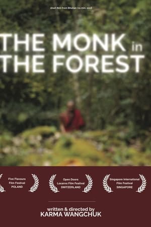 Monk in the Forest