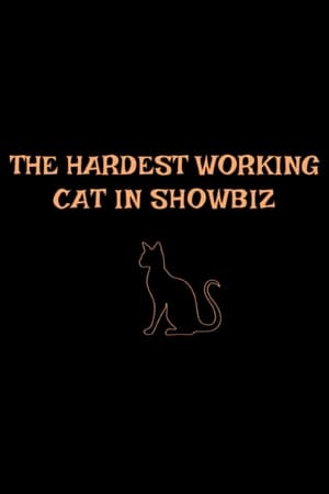 The Hardest Working Cat in Showbiz