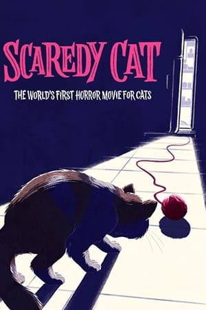 Scaredy Cat