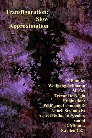 Transfiguration: Slow Approximation