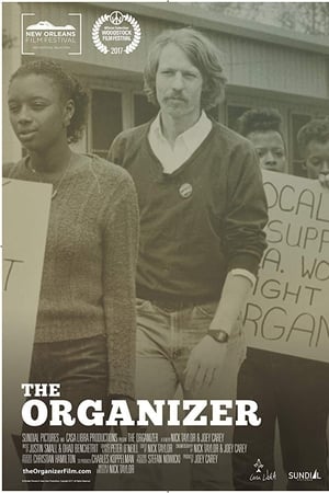 The Organizer